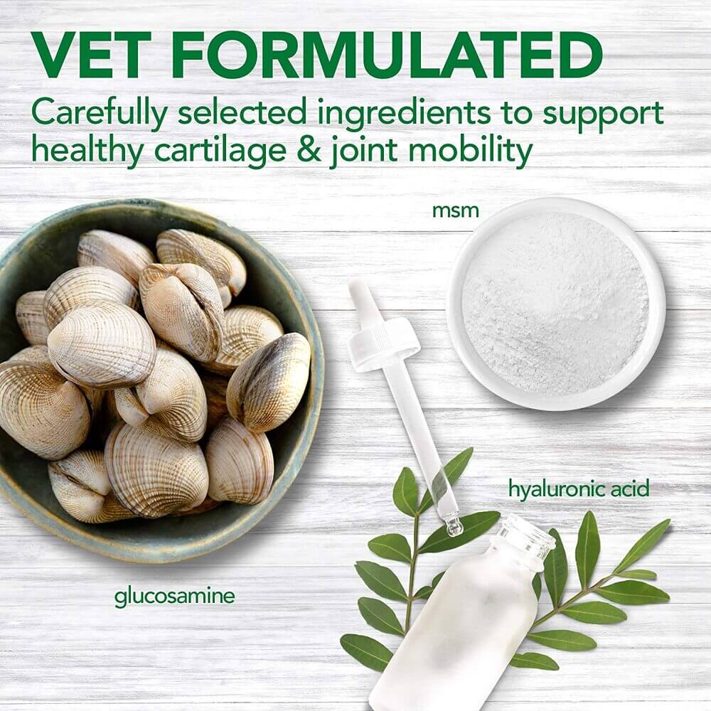 Vet's Best Hip & Joint for Dogs Vet's Best Hip & Joint for Dogs
