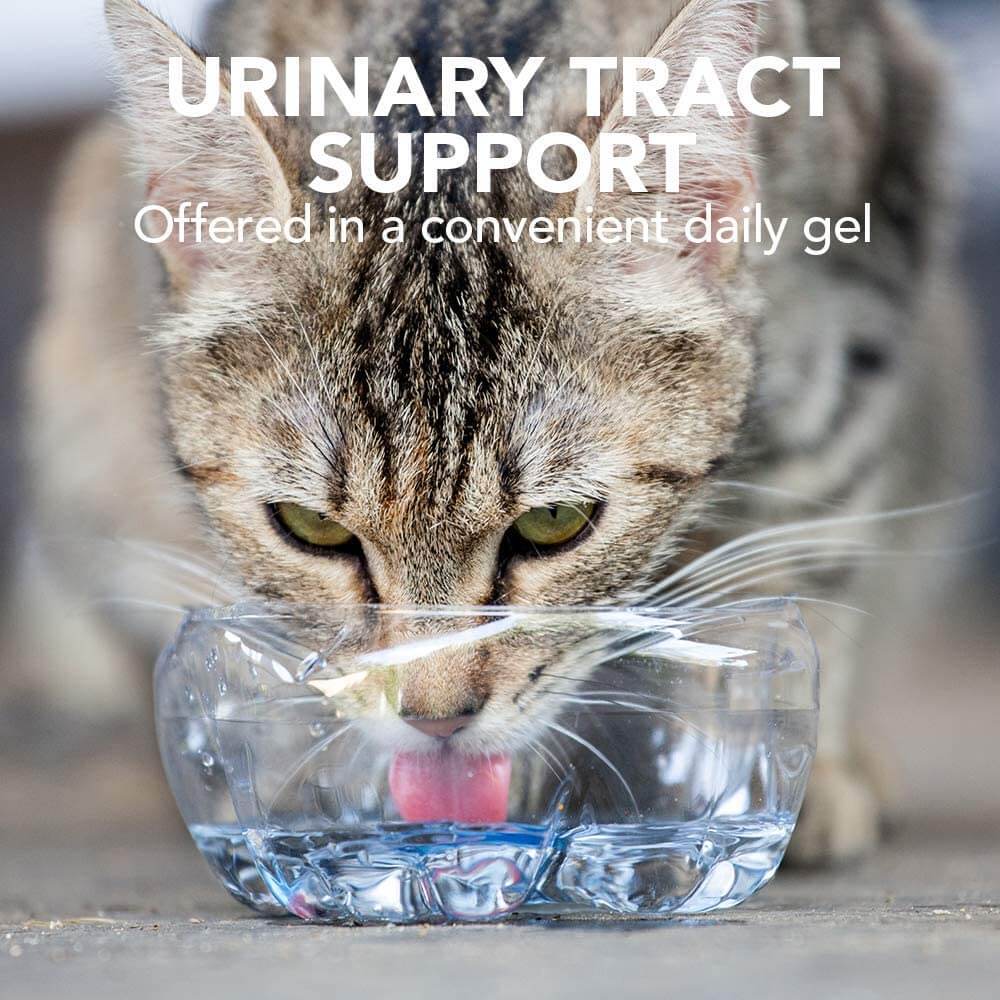 Vet's Best Urinary Tract Gel for Cats Vet's Best Urinary Tract Gel for Cats