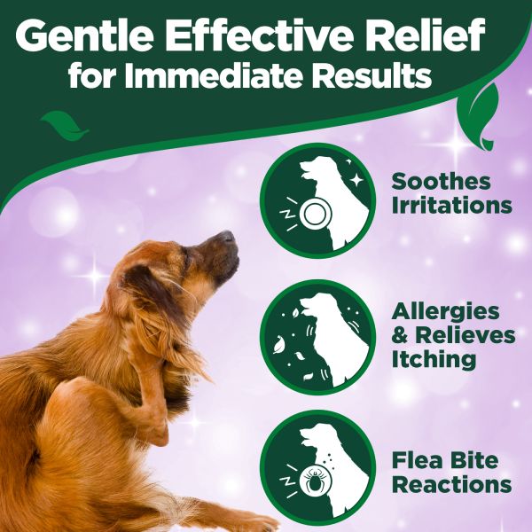 Vets Best Allergy Itch Relief Spray for Dogs - 250ml Vets Best Allergy Itch Relief Spray for Dogs - 250ml