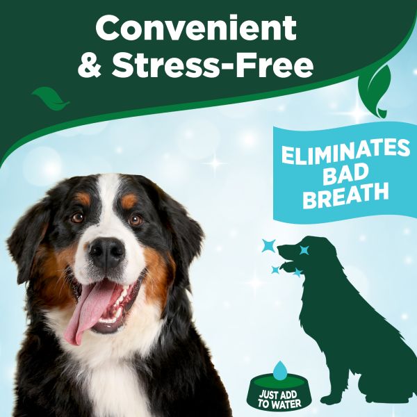 Vet's Best Breath Freshener for Dogs - 500ml Vet's Best Breath Freshener for Dogs - 500ml