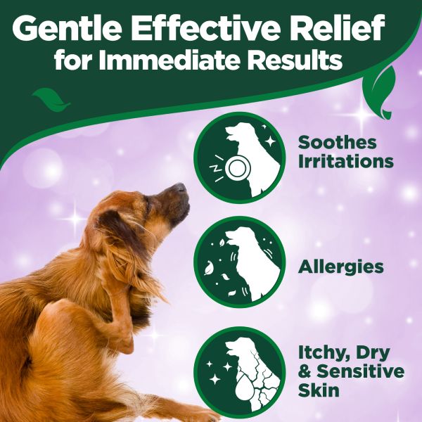 Vet's Best Hot Spot Itch Relief Spray for Dogs -250ml Vet's Best Hot Spot Itch Relief Spray for Dogs -250ml