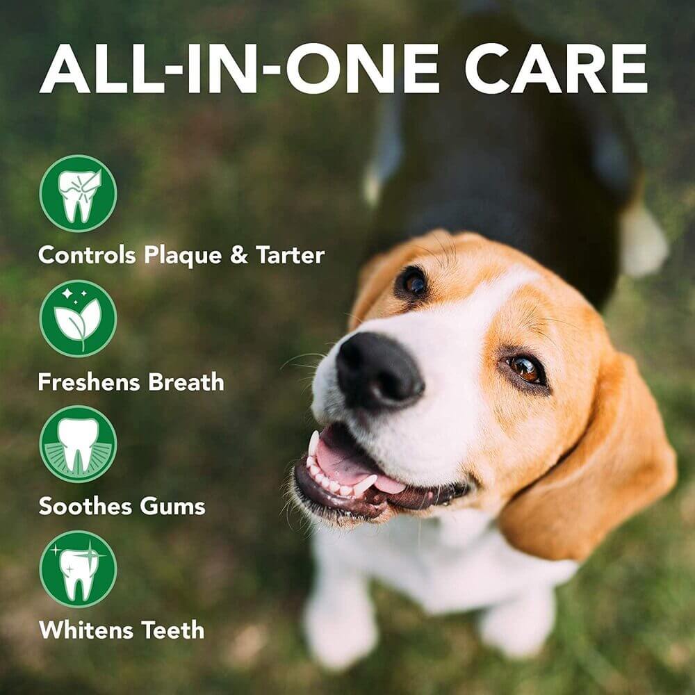 Vet's Best Triple Headed Toothbrush Vet's Best Triple Headed Toothbrush