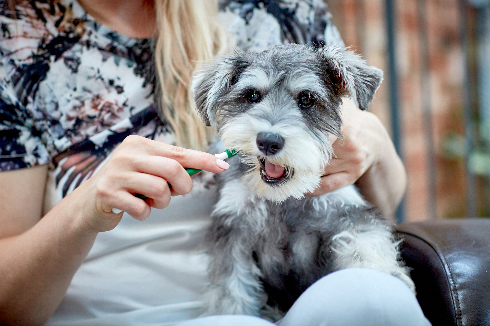 Vet's Best Triple Headed Toothbrush Vet's Best Triple Headed Toothbrush