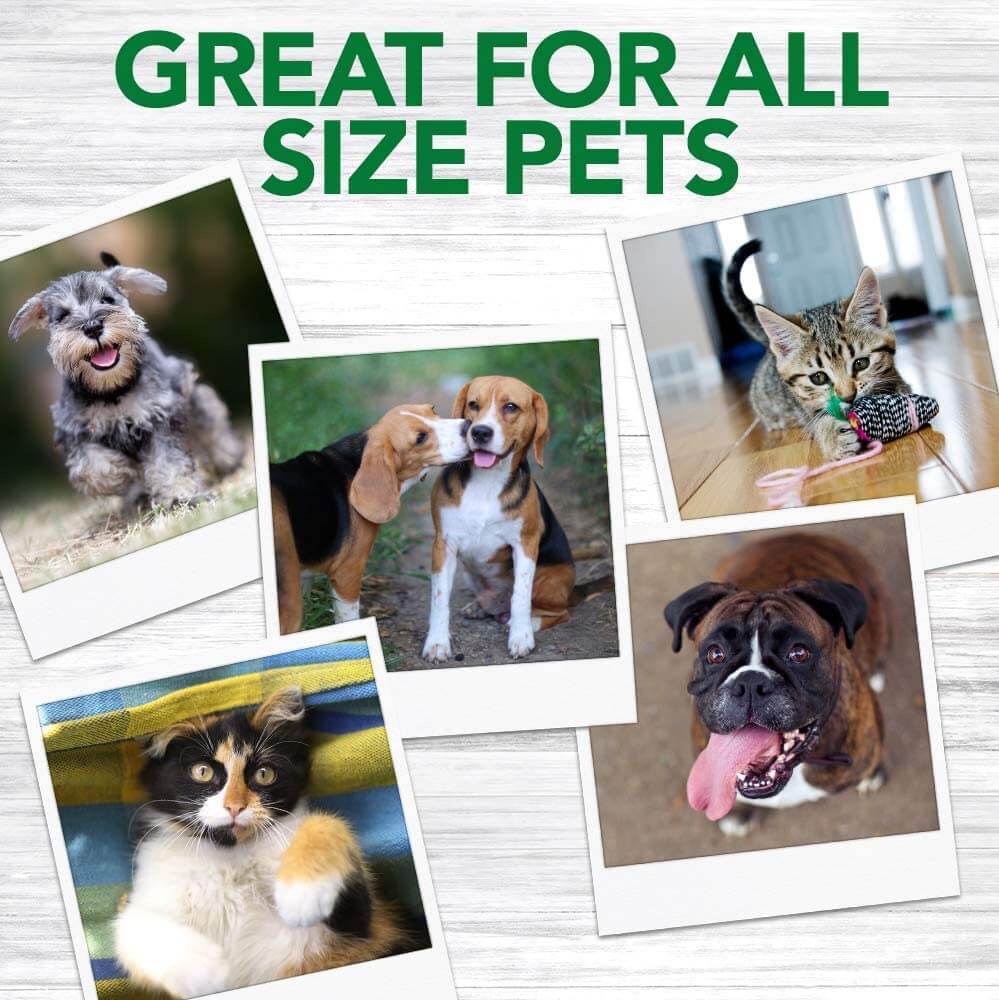 Vet's Best Dental Powder for Dogs - 90g Vet's Best Dental Powder for Dogs - 90g