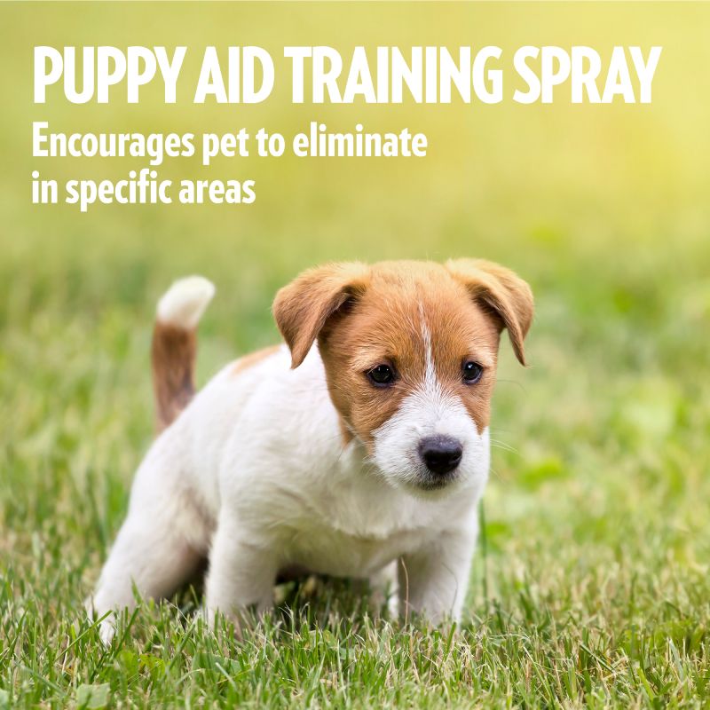 Simple Solution Puppy Training Aid Simple Solution Puppy Training Aid