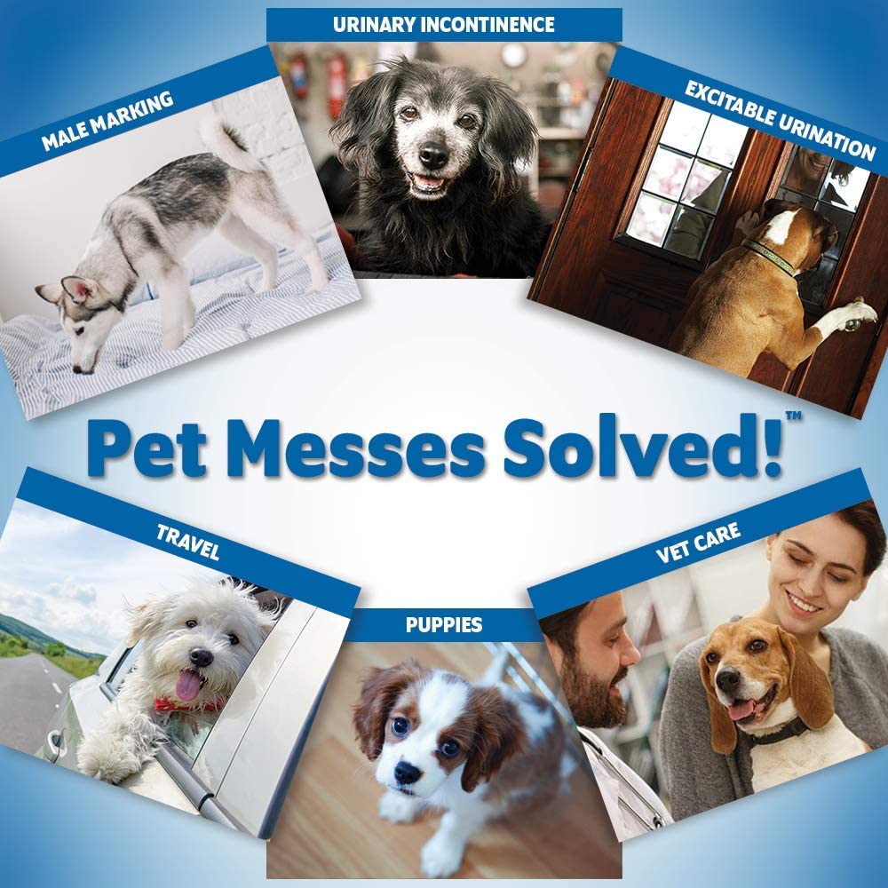 Out Petcare Disposable Male Wrap 12 Daipers Out Petcare Disposable Male Wrap 12 Daipers