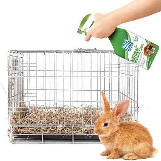 Out Petcare Cage & Hutch Cleaner