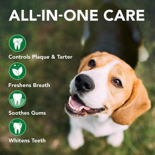 Vet's Best Dental Kit for Dogs