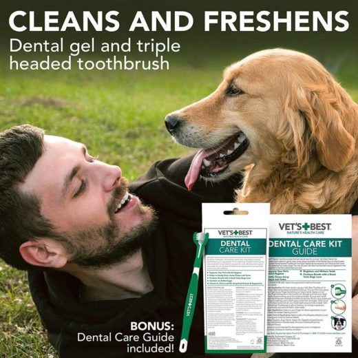 Vet's Best Dental Kit for Dogs