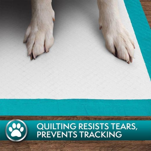 Out Petcare Moisture Lock Training Pads - 100 Pad Pack