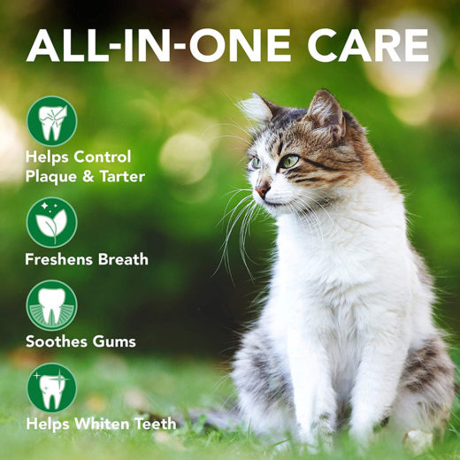 Vet’s Best Dental Care Kit for Cats