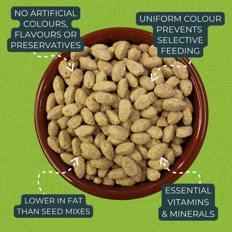 Zupreem Essentials Medium Large & Large Birds 1.5Kg Zupreem Essentials Medium Large & Large Birds 1.5Kg