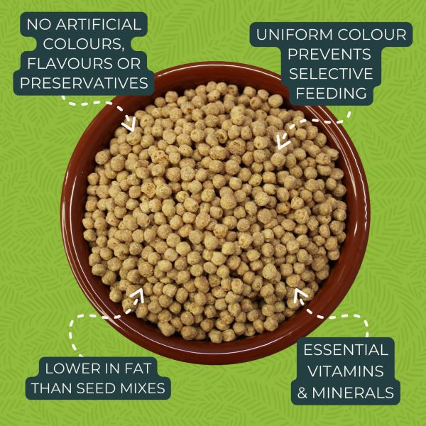 Zupreem Essentials Medium Birds 1Kg Zupreem Essentials Medium Birds 1Kg