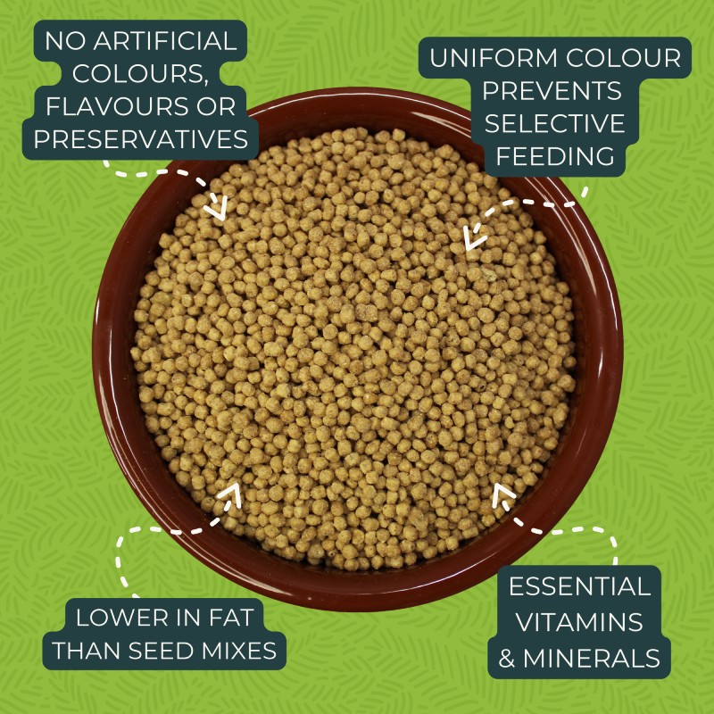 Zupreem Essentials Small Birds 1Kg Zupreem Essentials Small Birds 1Kg