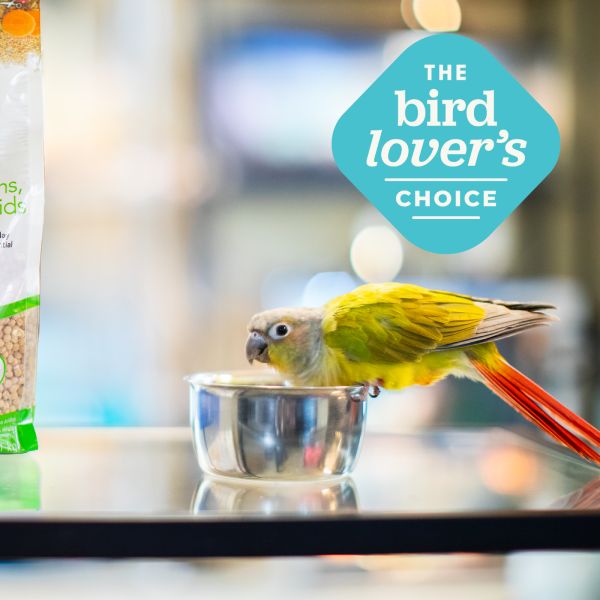 Zupreem Essentials Medium Birds 18Kg Zupreem Essentials Medium Birds 18Kg