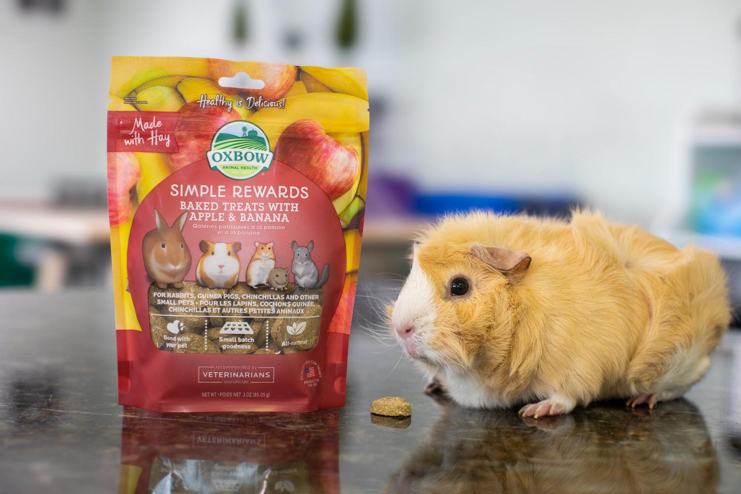 Oxbow Simple Rewards Baked Treat Apple & Banana - 85g Oxbow Simple Rewards Baked Treat Apple & Banana - 85g