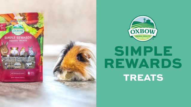 Oxbow Simple Rewards Veggie Treat - 85g